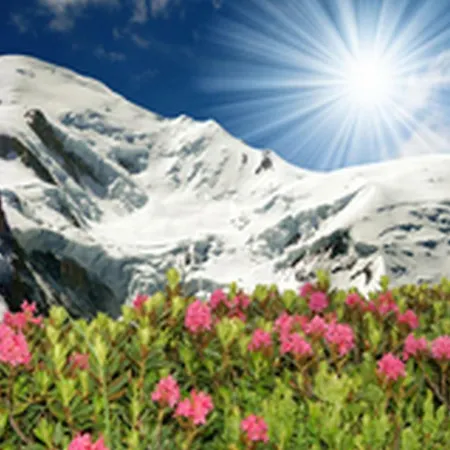 Grands Montets 324 아파트